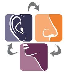 Ear, Throat & Nose